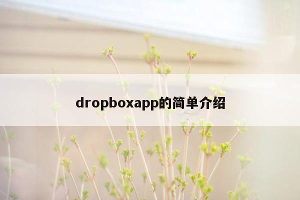 dropboxapp的简单介绍