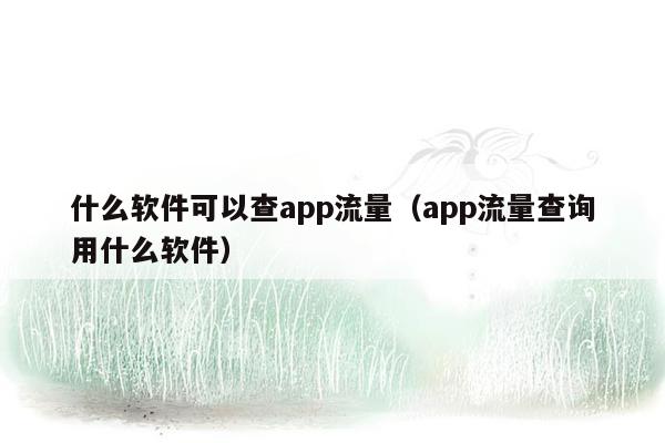 什么软件可以查app流量（app流量查询用什么软件）