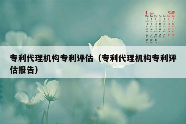 专利代理机构专利评估（专利代理机构专利评估报告）