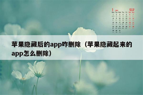 苹果隐藏后的app咋删除（苹果隐藏起来的app怎么删除）