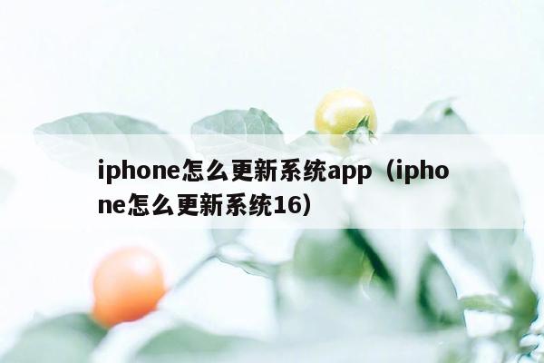 iphone怎么更新系统app（iphone怎么更新系统16）