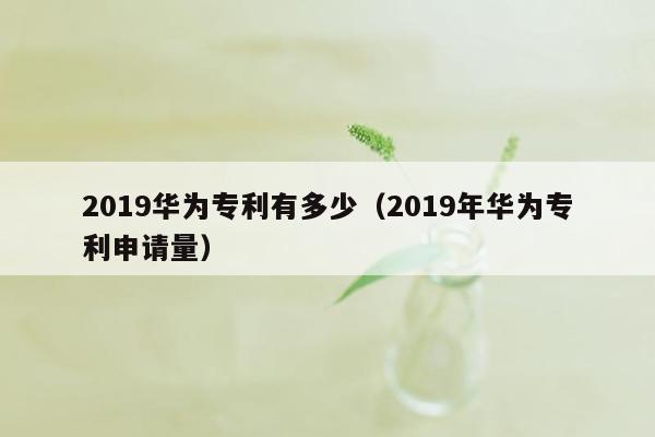 2019华为专利有多少（2019年华为专利申请量）