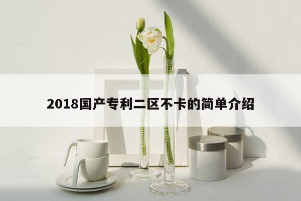 2018国产专利二区不卡的简单介绍