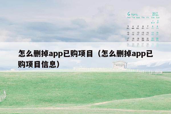 怎么删掉app已购项目（怎么删掉app已购项目信息）