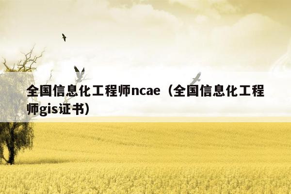 全国信息化工程师ncae（全国信息化工程师gis证书）