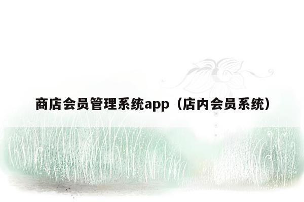 商店会员管理系统app（店内会员系统）