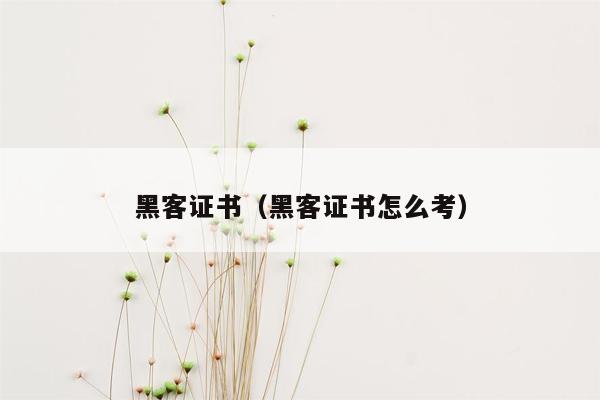 黑客证书（黑客证书怎么考）