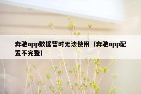 奔驰app数据暂时无法使用（奔驰app配置不完整）