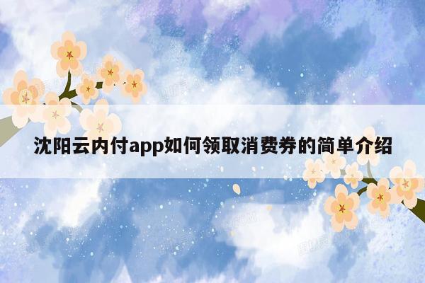 沈阳云内付app如何领取消费券的简单介绍