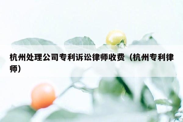 杭州处理公司专利诉讼律师收费（杭州专利律师）