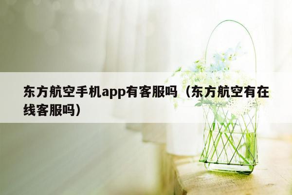 东方航空手机app有客服吗（东方航空有在线客服吗）