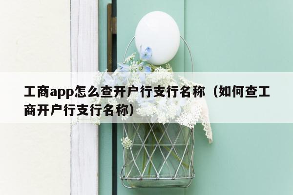 工商app怎么查开户行支行名称（如何查工商开户行支行名称）