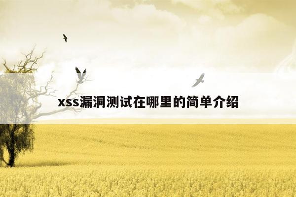 xss漏洞测试在哪里的简单介绍