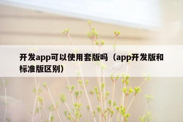 开发app可以使用套版吗（app开发版和标准版区别）