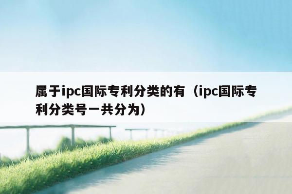 属于ipc国际专利分类的有（ipc国际专利分类号一共分为）