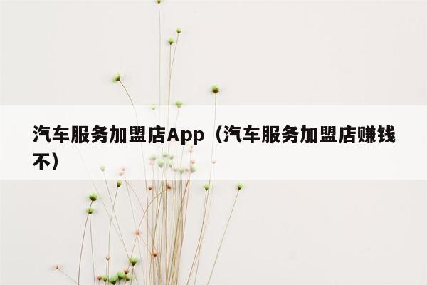 汽车服务加盟店App（汽车服务加盟店赚钱不）