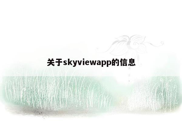 关于skyviewapp的信息