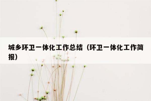 城乡环卫一体化工作总结（环卫一体化工作简报）