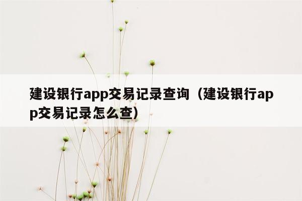 建设银行app交易记录查询（建设银行app交易记录怎么查）