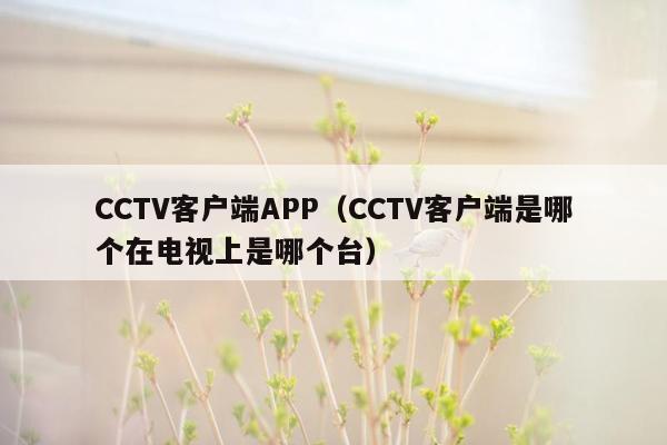 CCTV客户端APP（CCTV客户端是哪个在电视上是哪个台）