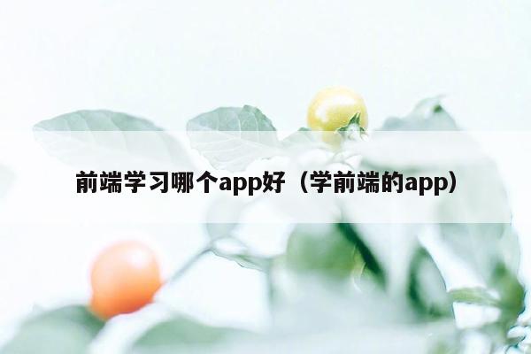 前端学习哪个app好（学前端的app）