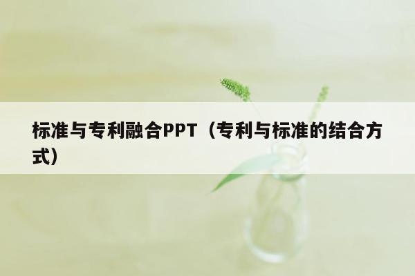 标准与专利融合PPT（专利与标准的结合方式）