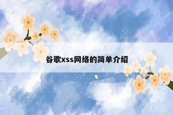 谷歌xss网络的简单介绍