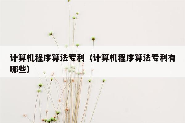 计算机程序算法专利（计算机程序算法专利有哪些）