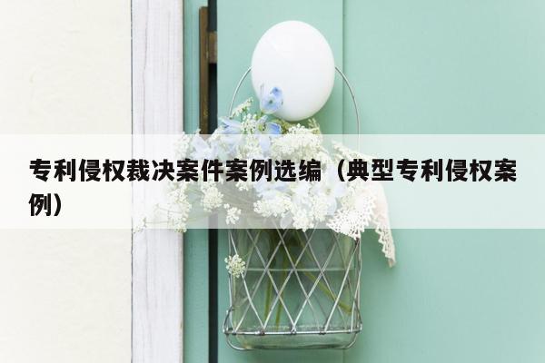 专利侵权裁决案件案例选编（典型专利侵权案例）