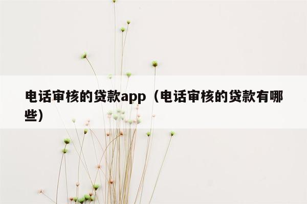 电话审核的贷款app（电话审核的贷款有哪些）