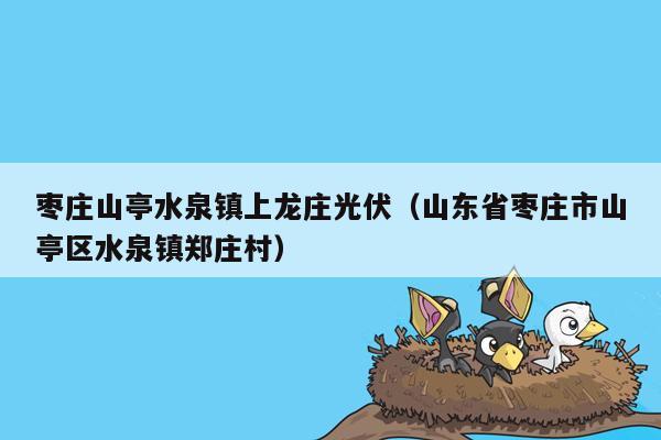 枣庄山亭水泉镇上龙庄光伏（山东省枣庄市山亭区水泉镇郑庄村）