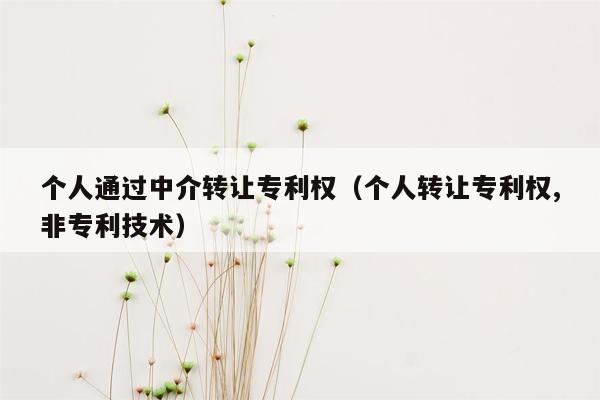 个人通过中介转让专利权（个人转让专利权,非专利技术）