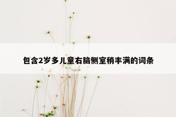 包含2岁多儿童右脑侧室稍丰满的词条