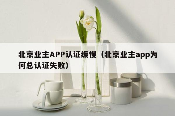 北京业主APP认证缓慢（北京业主app为何总认证失败）