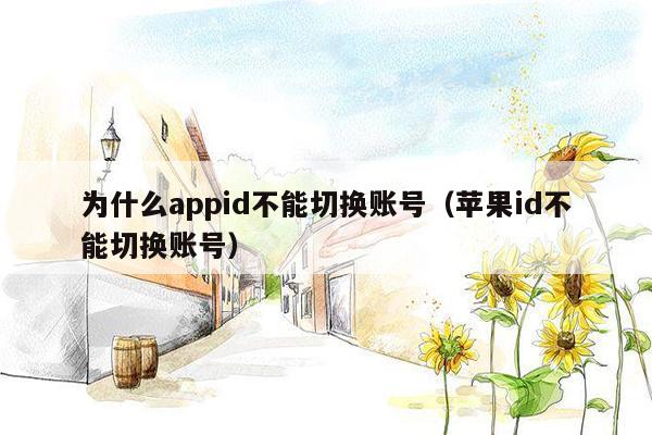 为什么appid不能切换账号（苹果id不能切换账号）