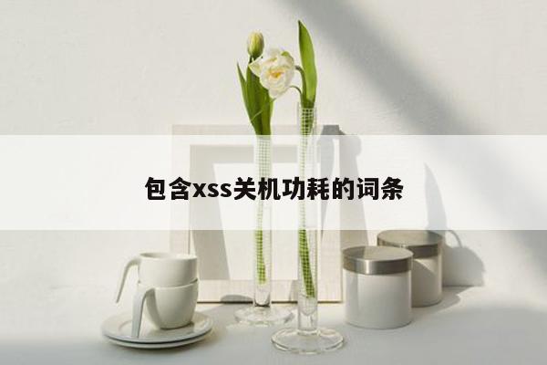 包含xss关机功耗的词条