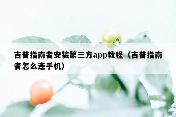 吉普指南者安装第三方app教程（吉普指南者怎么连手机）