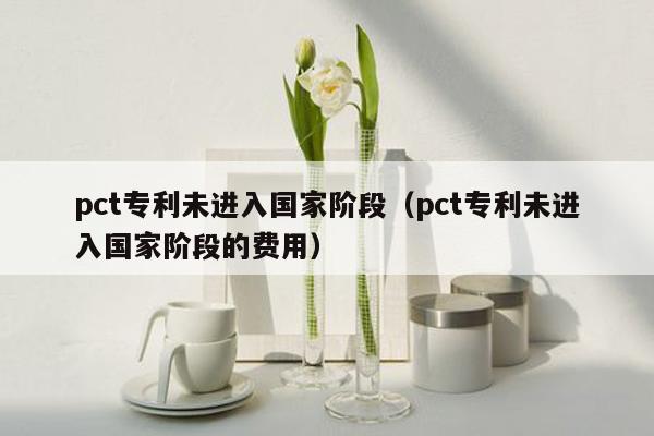 pct专利未进入国家阶段（pct专利未进入国家阶段的费用）