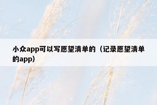 小众app可以写愿望清单的（记录愿望清单的app）