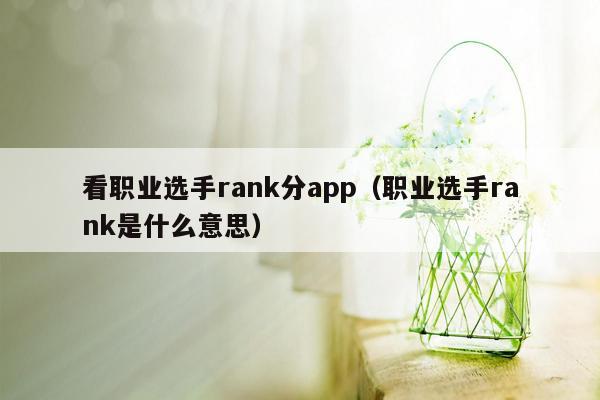 看职业选手rank分app（职业选手rank是什么意思）