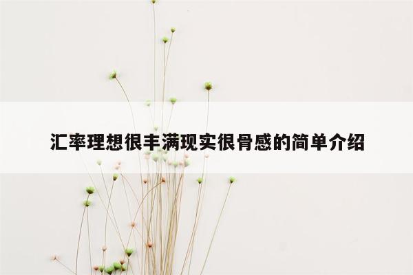 汇率理想很丰满现实很骨感的简单介绍