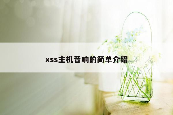 xss主机音响的简单介绍