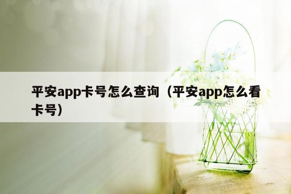 平安app卡号怎么查询（平安app怎么看卡号）