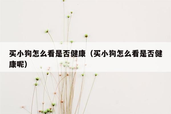 买小狗怎么看是否健康（买小狗怎么看是否健康呢）