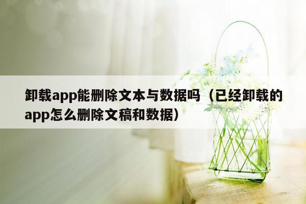 卸载app能删除文本与数据吗（已经卸载的app怎么删除文稿和数据）