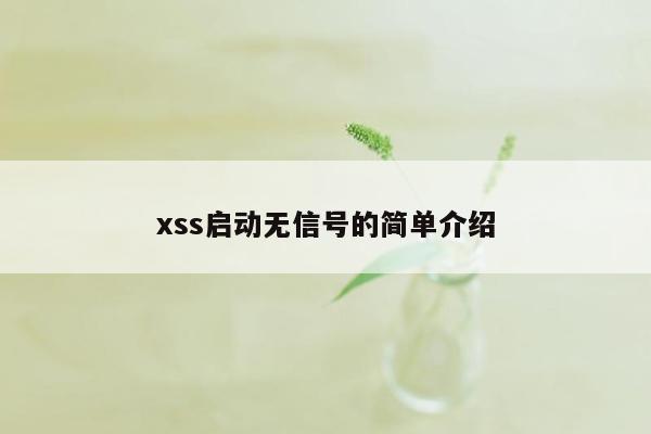 xss启动无信号的简单介绍