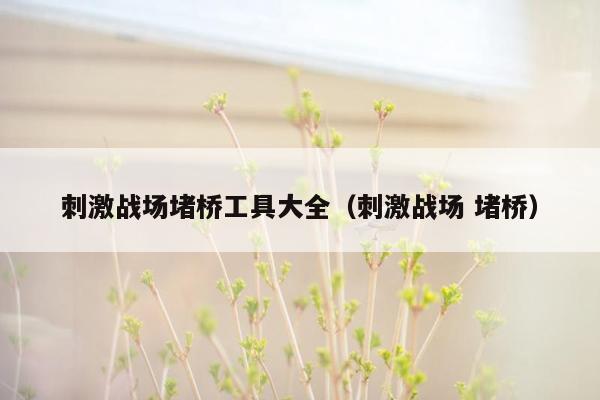 刺激战场堵桥工具大全（刺激战场 堵桥）