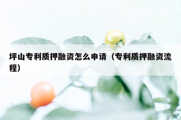 坪山专利质押融资怎么申请（专利质押融资流程）