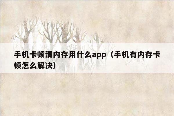 手机卡顿清内存用什么app（手机有内存卡顿怎么解决）