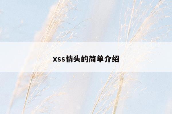 xss情头的简单介绍